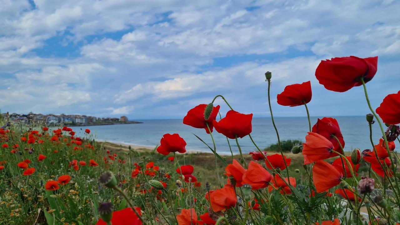 Villa Flora Sozopol Exterior foto
